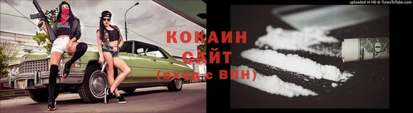 шишки Богданович