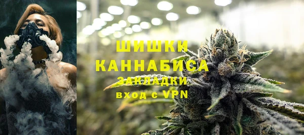 шишки Богданович