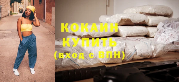 шишки Богданович